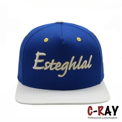 5 panels snapback cap with 3D embroidery logo